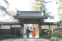 四季彩鮮やかな輪王寺でしっとり大人なロケーションフォトを