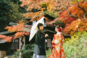 紅葉シーズン早割キャンペーン