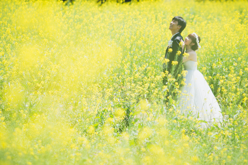 春のムードを堪能!「昭和記念公園」のお花畑でフォトウェディングを
