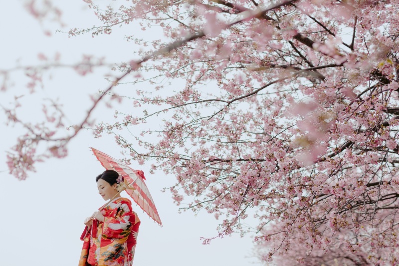 河津桜ロケーション予約開始♪