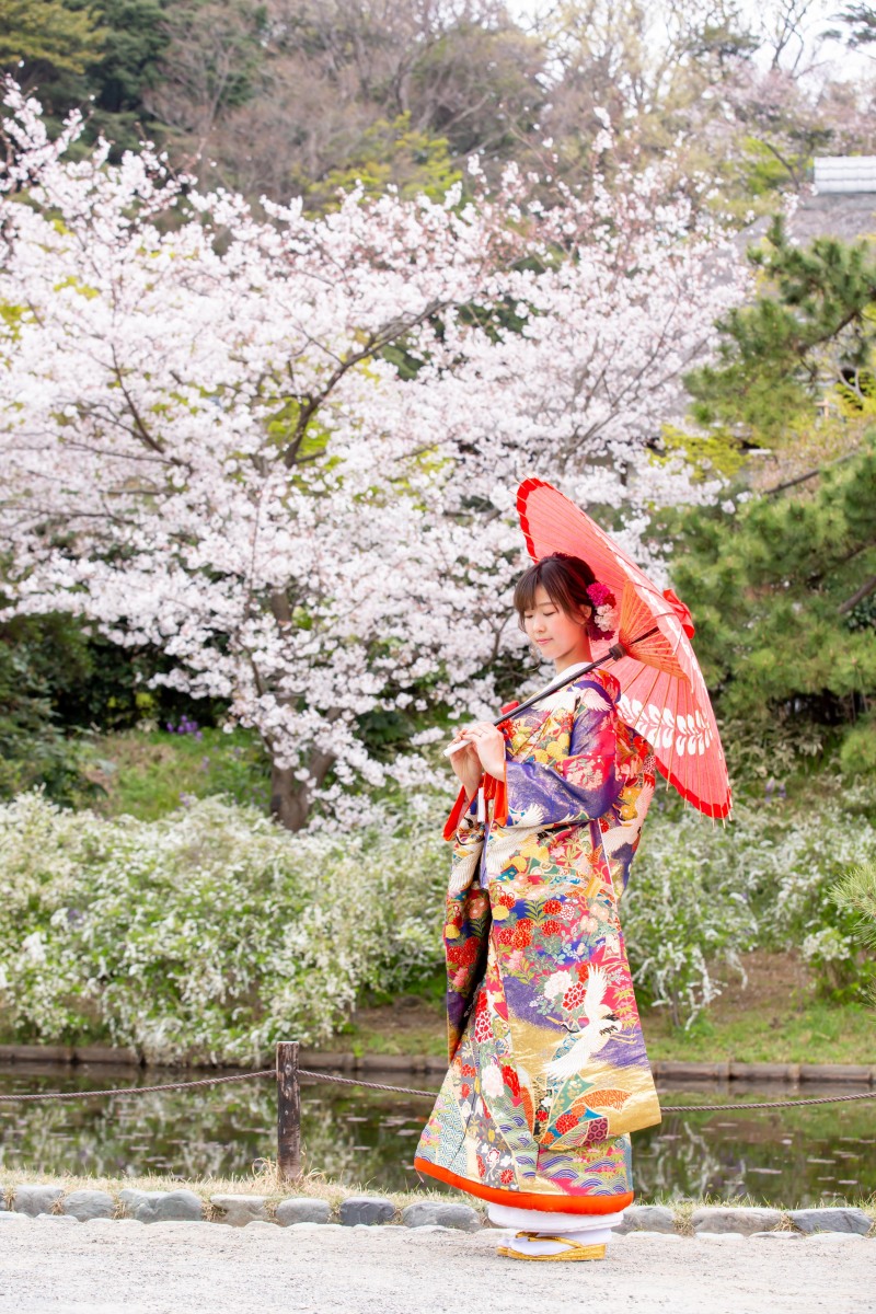 【3/23(土)24(日)】桜の三渓園!残りわずかとなってます♪