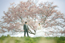 桜フォト、ご予約お承りしております!