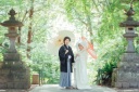 新緑フォト