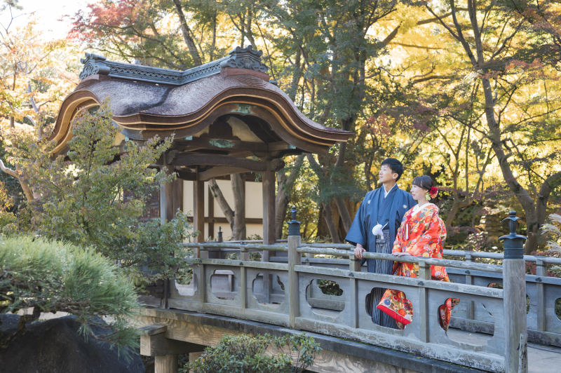 【お年玉フェアで春フォトをもっと自由に】キャンペーンのご紹介