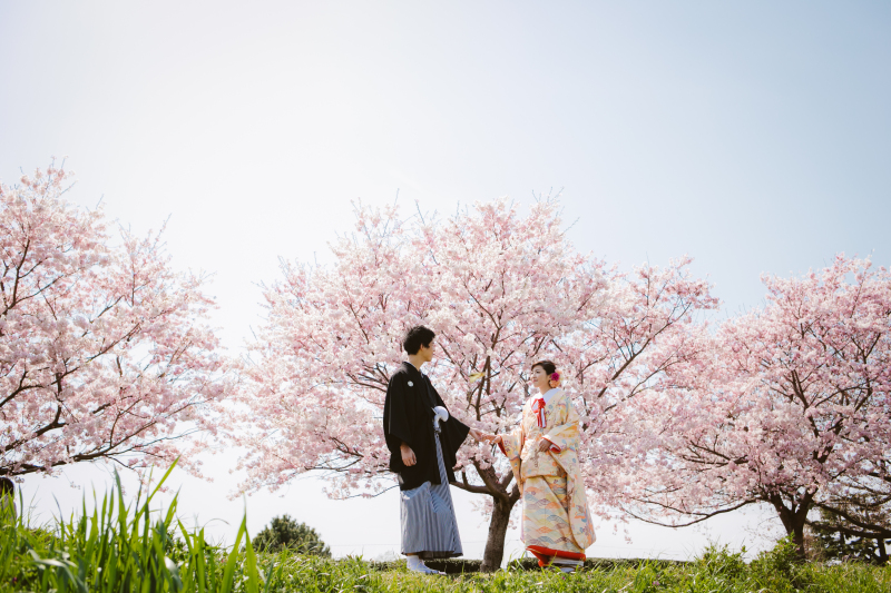 【早割】桜フォトキャンペーン｜期間限定でお得に春の前撮り！