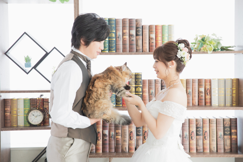 暖かさで選ぶなら屋内撮影♬