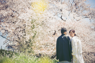 【大人気！桜フォト】季節に合わせたお写真の魅力とは？