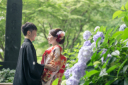鎌倉で撮る!紫陽花の魅力
