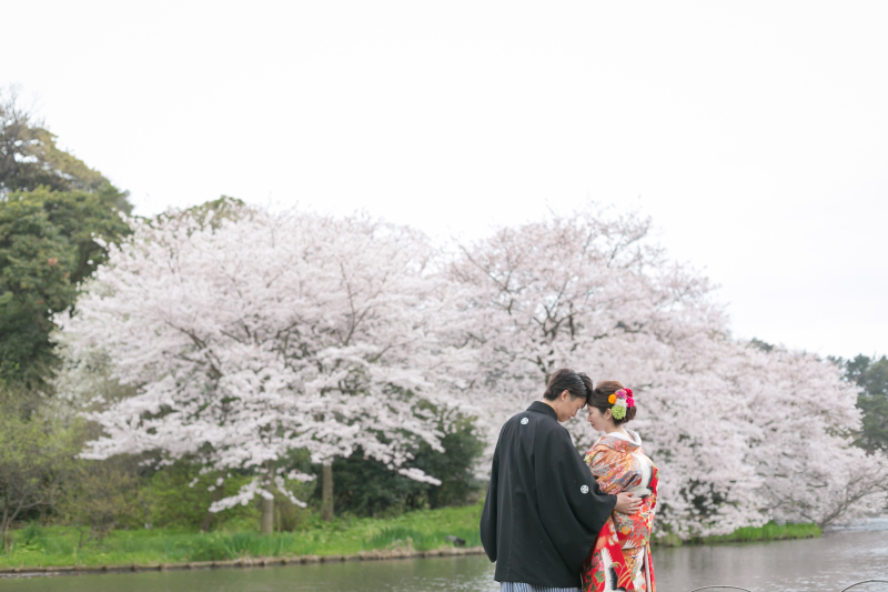 桜のお問い合わせお待ちしております！