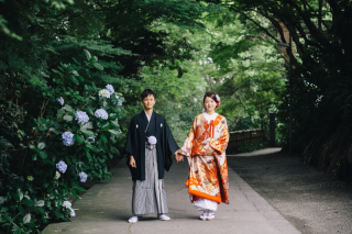 『期間限定』紫陽花キャンペーン