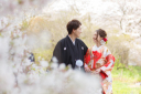 《平日限定!大人気の桜ロケーション撮影が¥20,000引き》三渓園和装桜プラン!