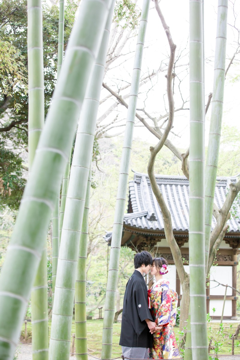 【3/23(土)24(日)】桜の三渓園!残りわずかとなってます♪