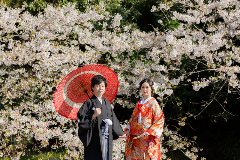 和装姿を美しく！姿勢のポイント