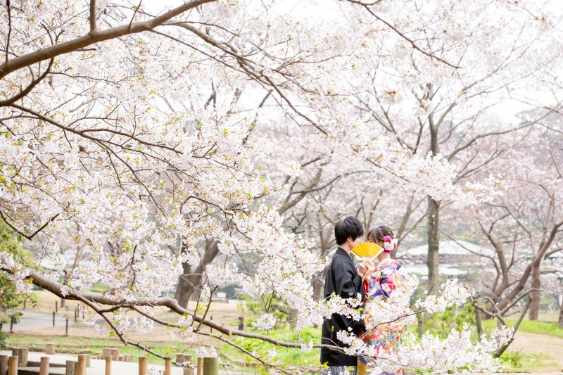 【3/23(土)24(日)】桜の三渓園!残りわずかとなってます♪