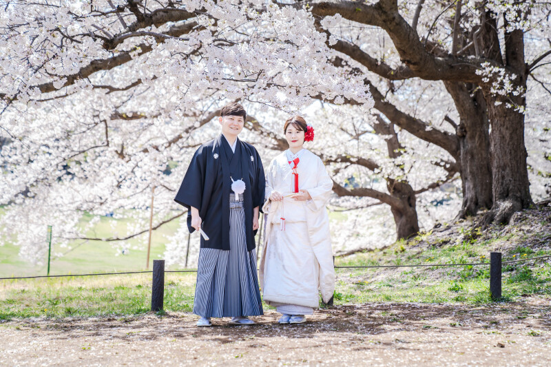 桜ロケーション　お問い合わせ多数です♬