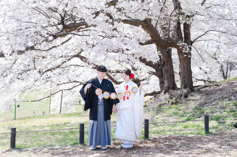 桜ロケーション　お問い合わせ多数です♬