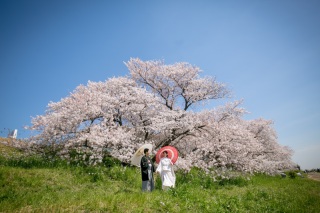 *2025桜フォト予約受付中!!*