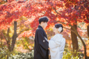 \大好評/三渓園の紅葉ロケーションフォト