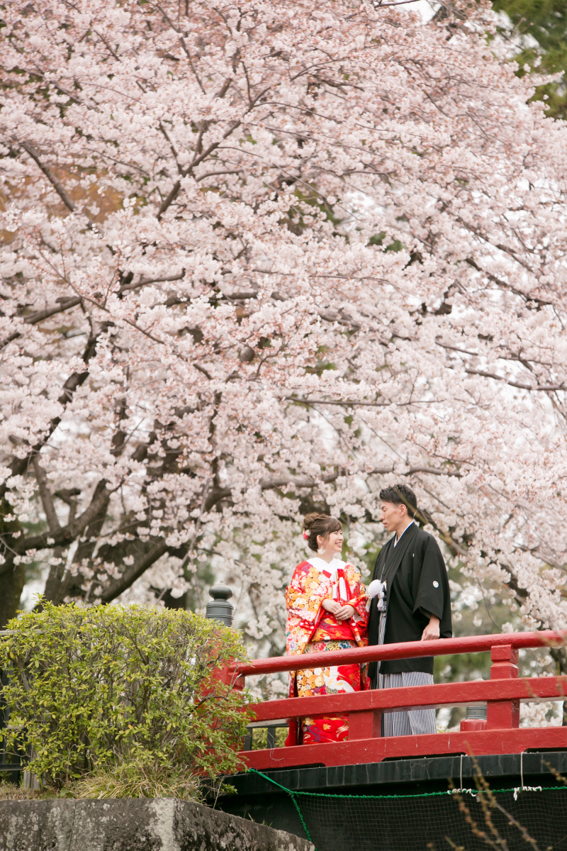 小田原城で桜フォト