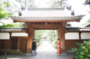 三渓園は一年中「旬」です♡