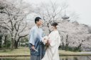「桜」のお問い合わせ始まってます!!