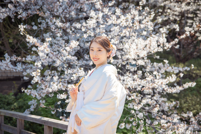 前撮りを桜の季節に行う魅力とメリットとは？