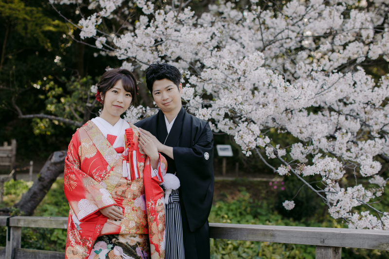 梅も桜も三渓園！