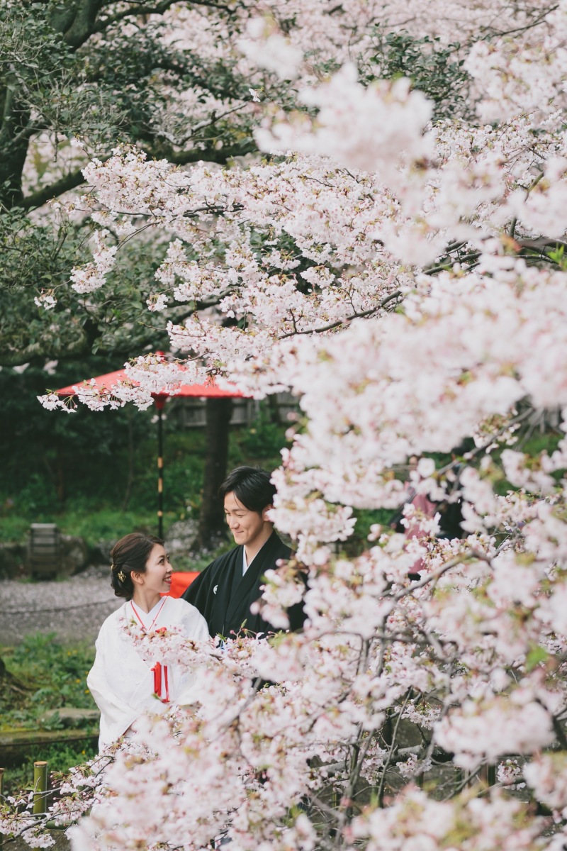 桜ロケーション撮影はお早めに♪
