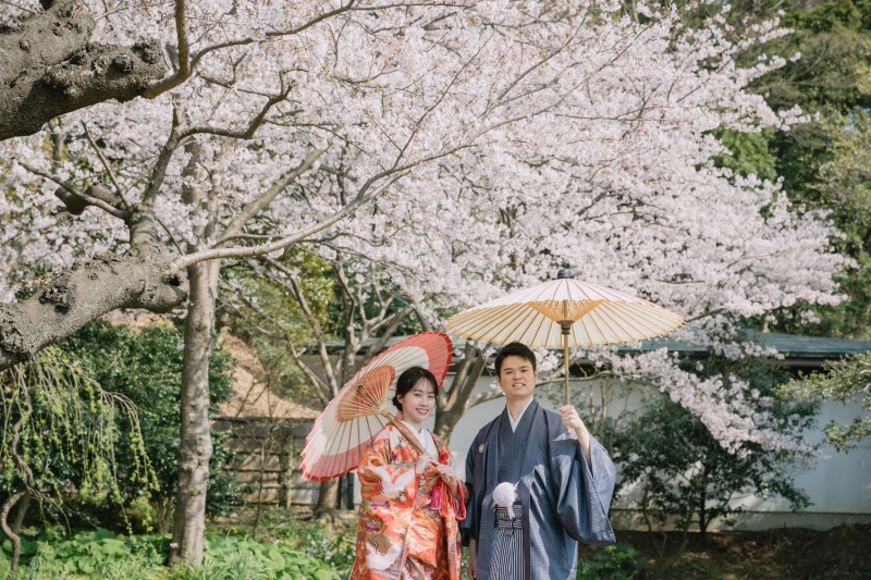 なぜ人気？　前撮りを桜の季節に行う魅力とメリット