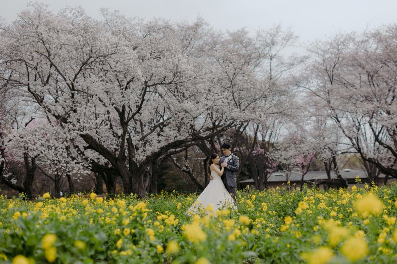 花と楽しむ春の撮影