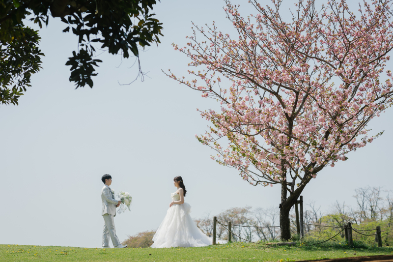 春フォトキャンペーンについて＊