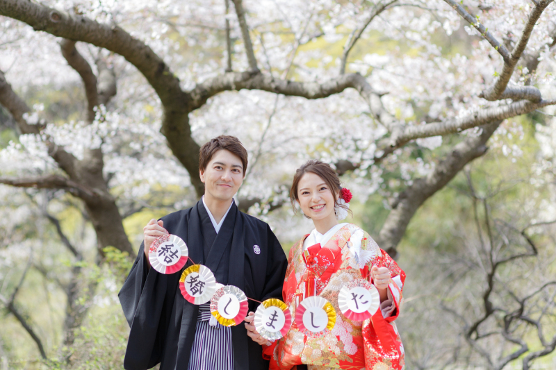 桜ロケーションの魅力…ONESTYLEの「桜サウザン」