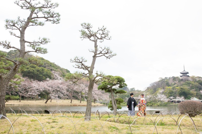 【3/23(土)24(日)】桜の三渓園!残りわずかとなってます♪