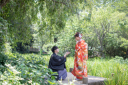6月〜7月の三渓園**