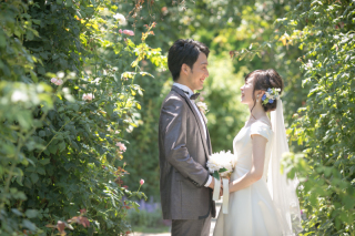 夏の色彩に包まれて