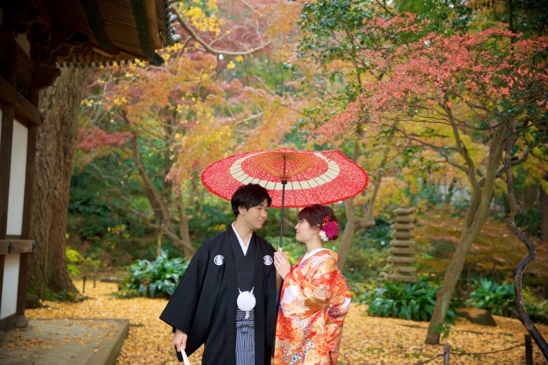 \まもなく終了!/紅葉ロケーションフォト