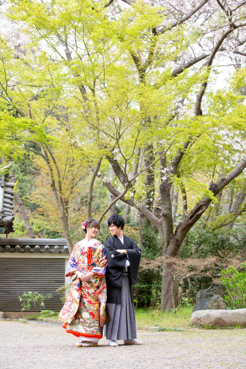【3/23(土)24(日)】桜の三渓園!残りわずかとなってます♪