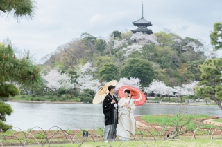 なぜ人気？　前撮りを桜の季節に行う魅力とメリット