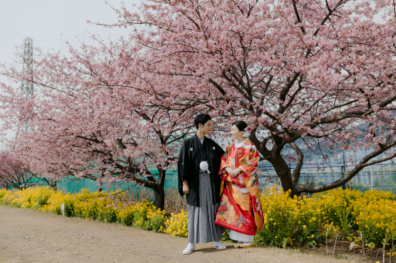 フォトウェディングなら春の河川敷がおすすめ! 桜風景を堪能しよう