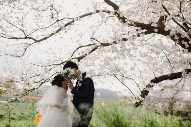 和装も洋装もOK! 桜×ウェディングフォトは相性ピッタリ!