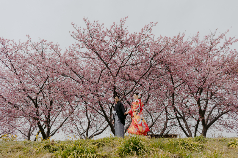 フォトウェディングなら春の河川敷がおすすめ! 桜風景を堪能しよう