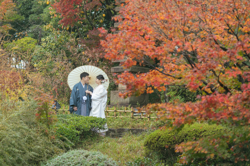 ＼ホームページが更新されました／紅葉ページをご覧ください！