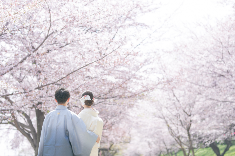 桜撮影、まだご予約可能です!