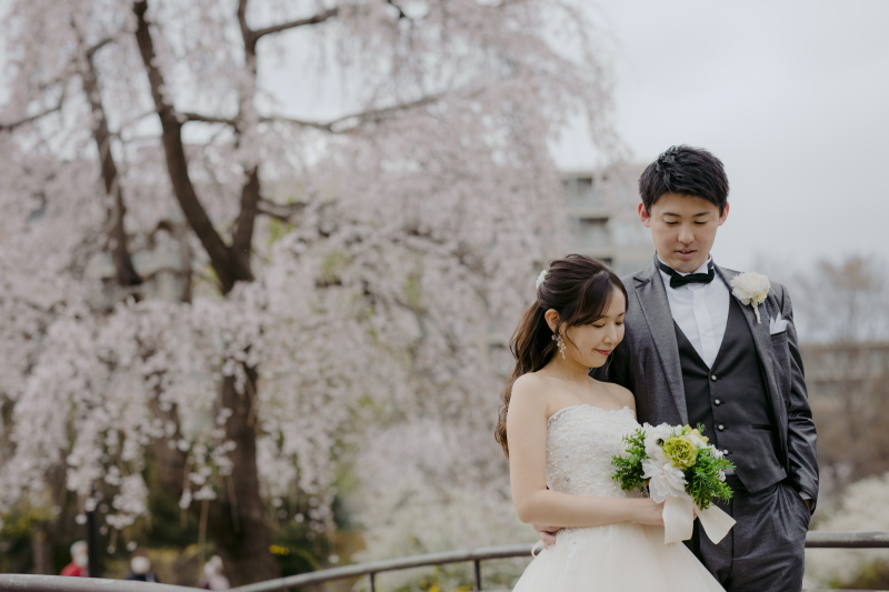 桜撮影、まだご予約可能です!