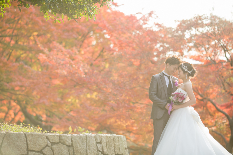 紅葉の撮影に！　〜昭和記念公園〜