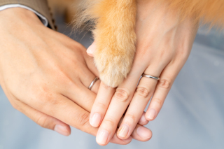 新春フェア相談会について♪