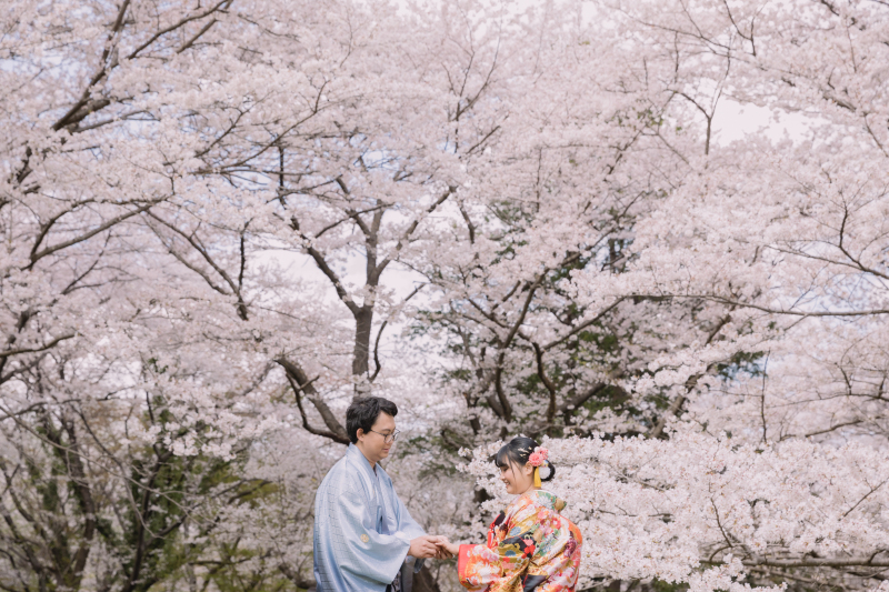 桜撮影、まだご予約可能です!