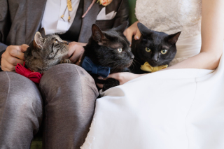 大切なペットと一緒にフォトウェディングを残してみませんか？