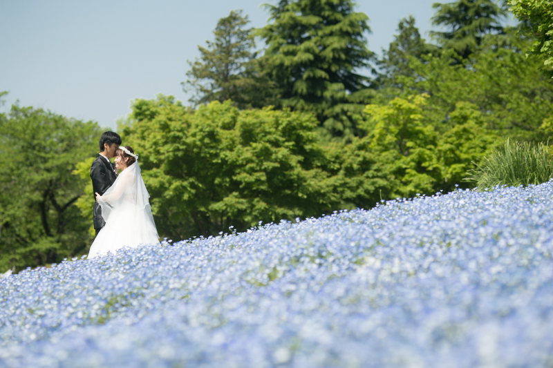 昭和記念公園の春♡