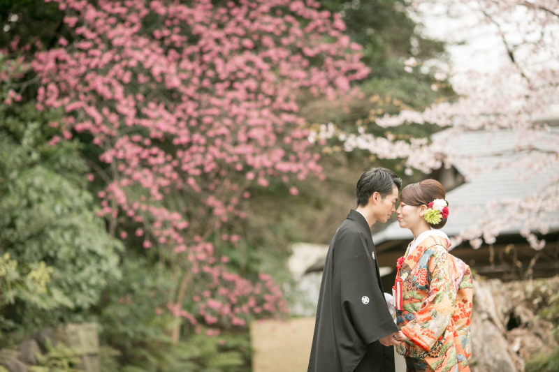 お得なプランはこちらでご確認ください！